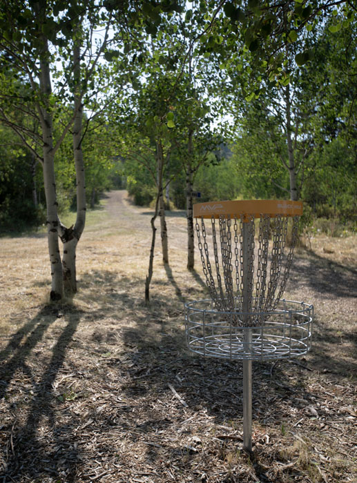 Disc Golf