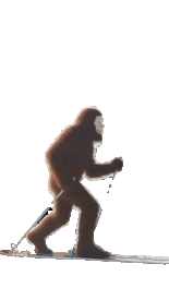 Click Bigfoot